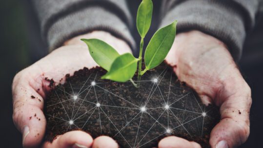 Smart Soil scaled