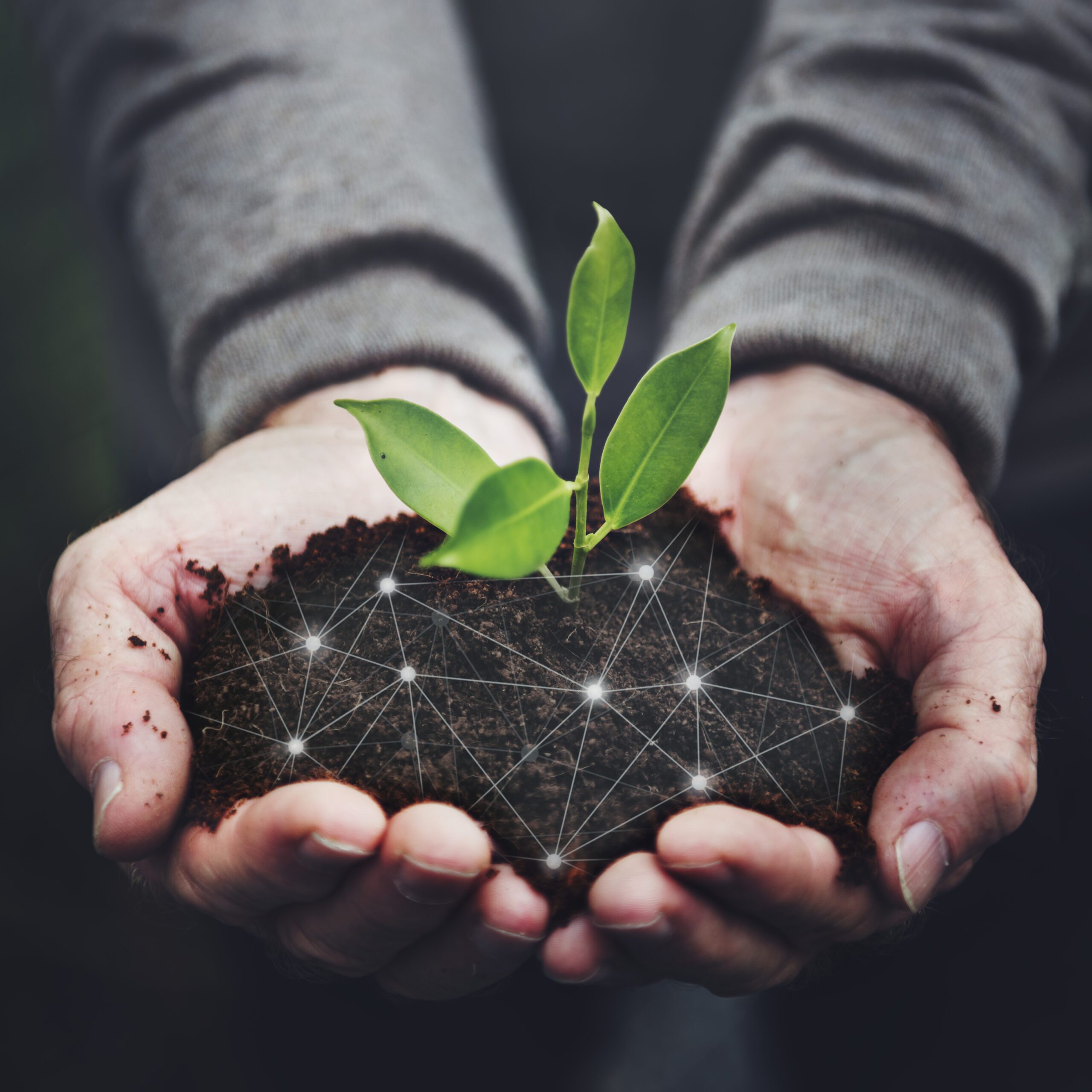 Smart Soil scaled
