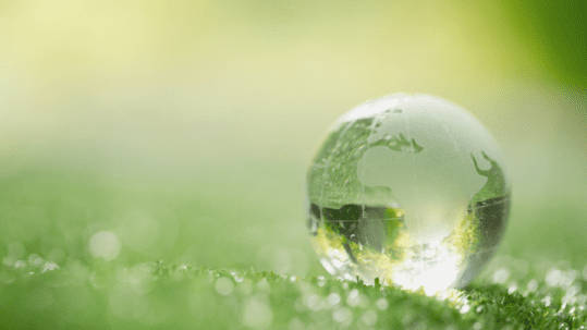 IoT Net Zero