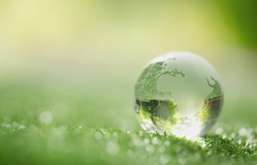 IoT Net Zero