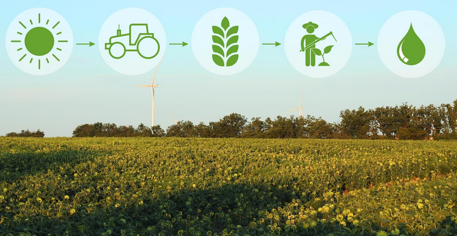 Smart Farm Smart Farm